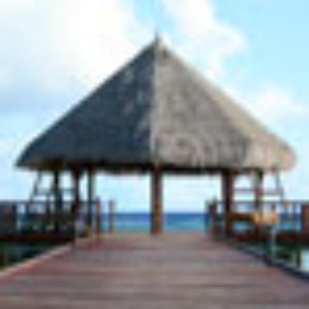 Little Jimmy's Pizza & Subs